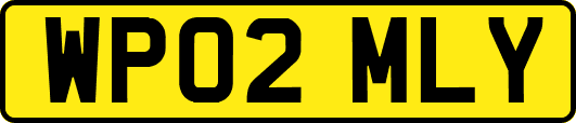 WP02MLY