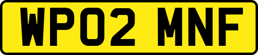 WP02MNF