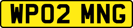 WP02MNG
