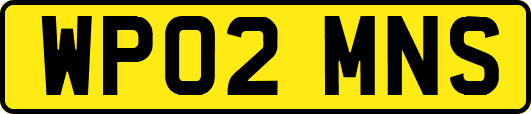 WP02MNS
