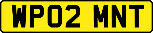 WP02MNT