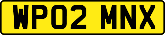 WP02MNX