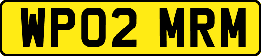 WP02MRM