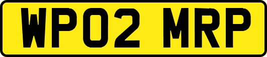 WP02MRP