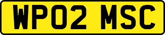 WP02MSC