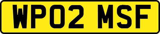 WP02MSF