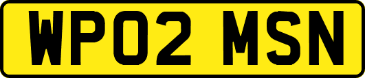 WP02MSN