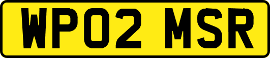 WP02MSR