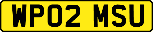 WP02MSU