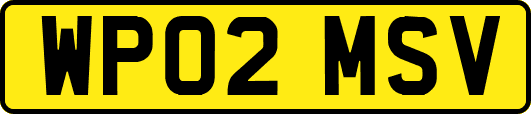WP02MSV