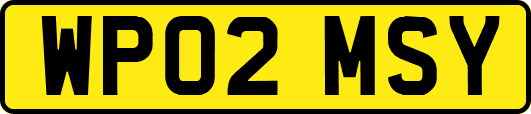 WP02MSY