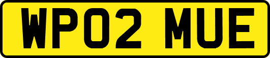 WP02MUE