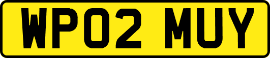 WP02MUY