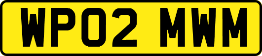 WP02MWM