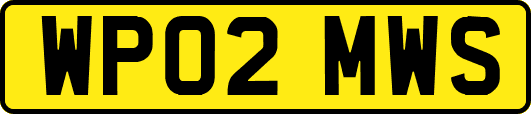 WP02MWS