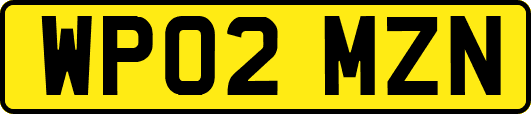 WP02MZN