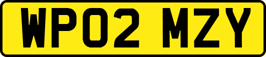 WP02MZY