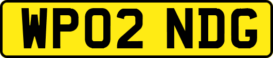 WP02NDG