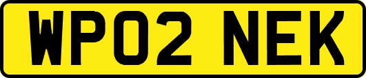 WP02NEK