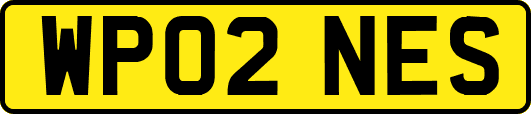WP02NES