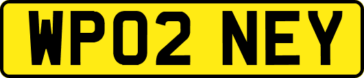 WP02NEY