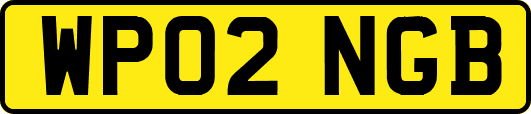 WP02NGB