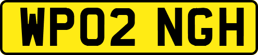 WP02NGH