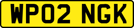 WP02NGK