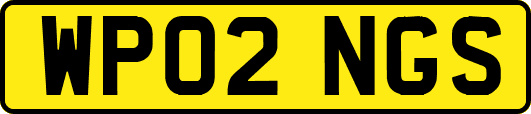 WP02NGS