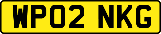 WP02NKG