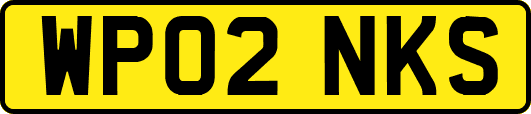 WP02NKS
