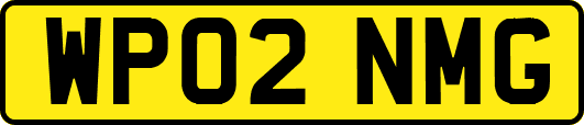 WP02NMG