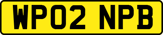 WP02NPB