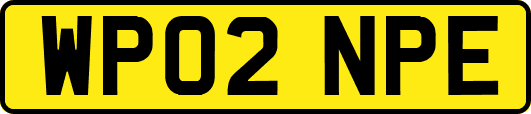 WP02NPE