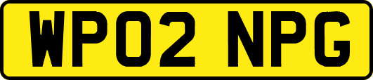 WP02NPG