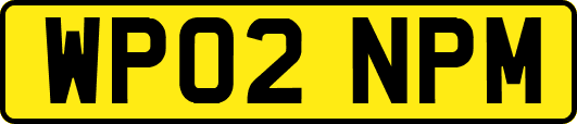 WP02NPM