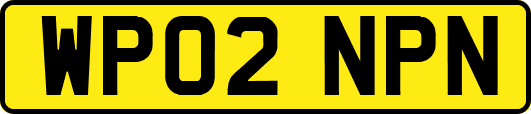 WP02NPN