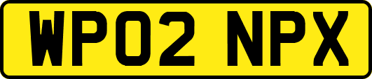 WP02NPX