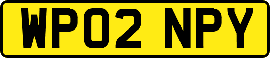 WP02NPY