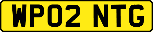 WP02NTG