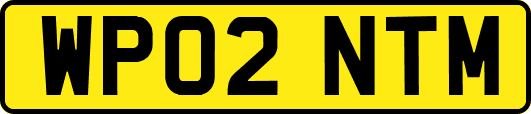 WP02NTM