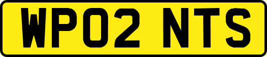 WP02NTS