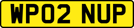 WP02NUP
