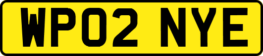 WP02NYE