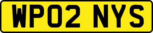 WP02NYS