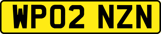 WP02NZN