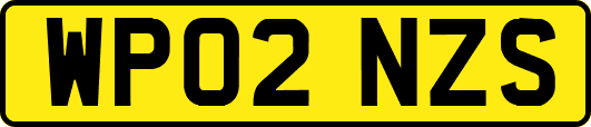 WP02NZS