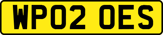 WP02OES