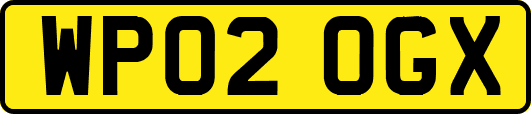 WP02OGX