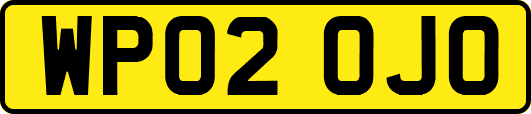 WP02OJO